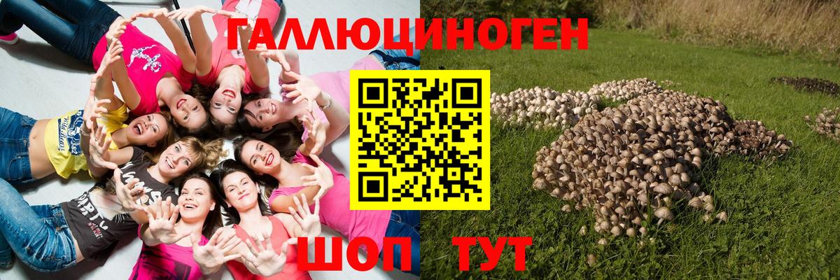 Псилоцибиновые грибы Psilocybine cubensis  Вход с VPN  Элиста  Псилоцибиновые грибы мухоморы 